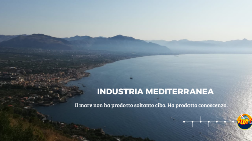 Il Mediterraneo viene normalmente raccontato attraverso paesaggi, cucina, turismo e tradizioni. Noi cambiamo prospettiva. Lo raccontiamo come uno dei più antichi sistemi produttivi e commerciali del mondo: un luogo nel quale la necessità di pescare, conservare, trasportare e commerciare ha generato tecniche, mestieri, infrastrutture, organizzazione del lavoro e scambi di conoscenza. La rubrica dovrà muoversi continuamente fra ieri e oggi. Non nostalgia per “come si faceva una volta”, quindi, ma comprensione di come molte questioni che consideriamo moderne — conservazione, shelf life, logistica, tracciabilità, utilizzo delle risorse, standardizzazione, commercio internazionale — abbiano radici molto più lontane. Flott non dovrà dire continuamente “noi facciamo questo”. Anzi, meno lo farà, più il posizionamento diventerà forte. L'autorevolezza arriverà dalla capacità del brand di leggere il proprio settore.